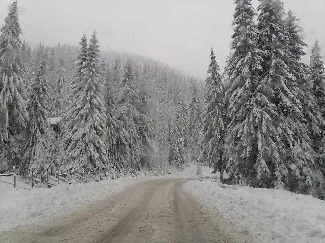 Снегът дойде в тези части на България. Едни ликуват 