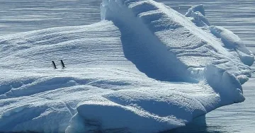 Нови разкрития за Северния полюс. Може да попречи на почивката ви