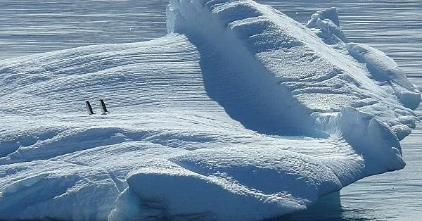 Нови разкрития за Северния полюс. Може да попречи на почивката ви