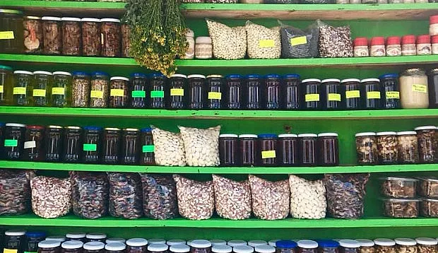 Семейство е в потрес. Кълнат го на почивката!