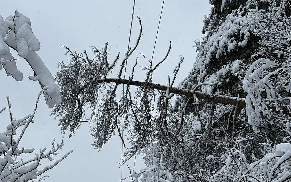 Екипите на ЕРМ Запад възстановиха електрозахранването на голяма част от засегнатите от зимата