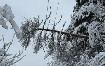 Екипите на ЕРМ Запад възстановиха електрозахранването на голяма част от засегнатите от зимата