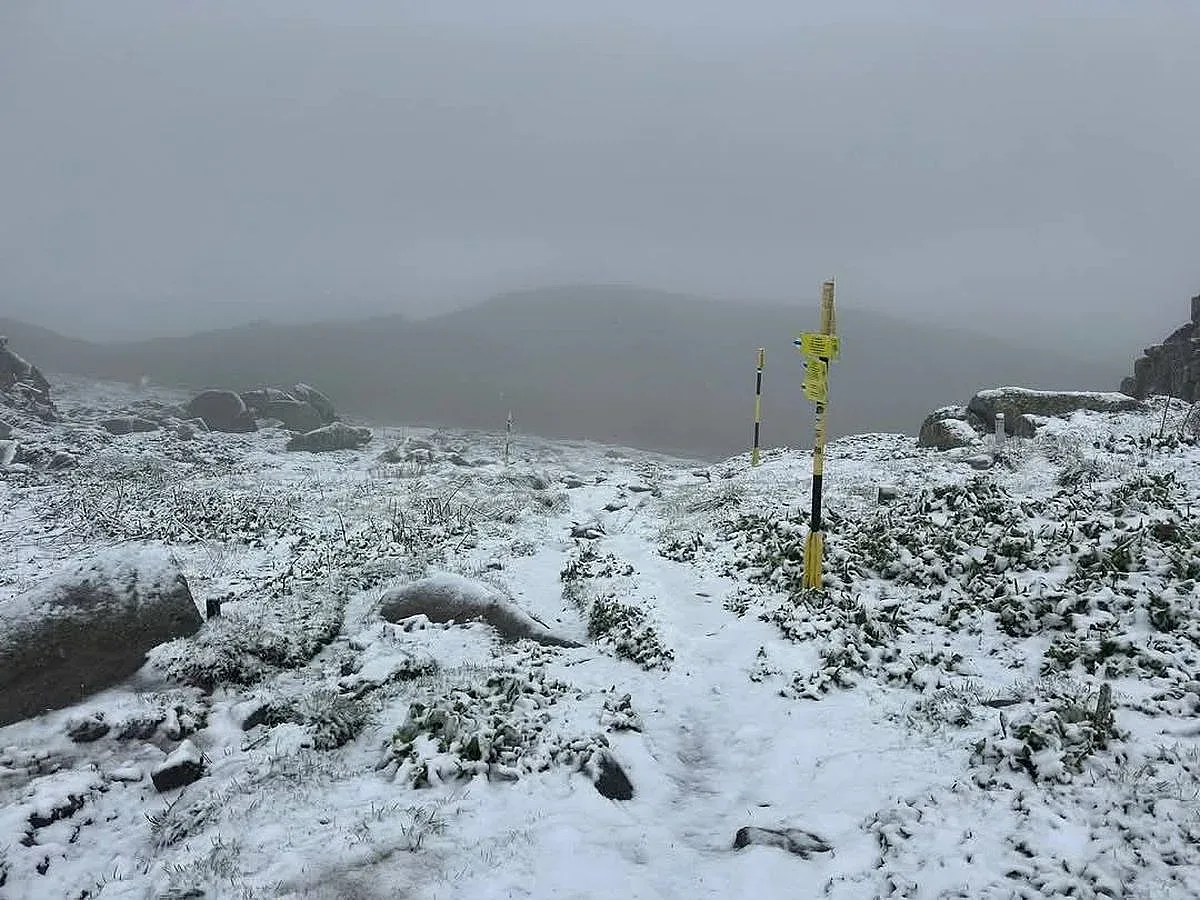 Рискова разходка на Витоша завърши със спасителна акция