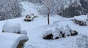 Драмата в Осогово. Решението за тока