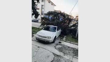 Вятърът беснее. Град и село си изпатиха
