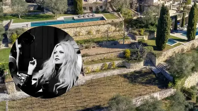 Кой ще наследи милионите на Брижит Бардо