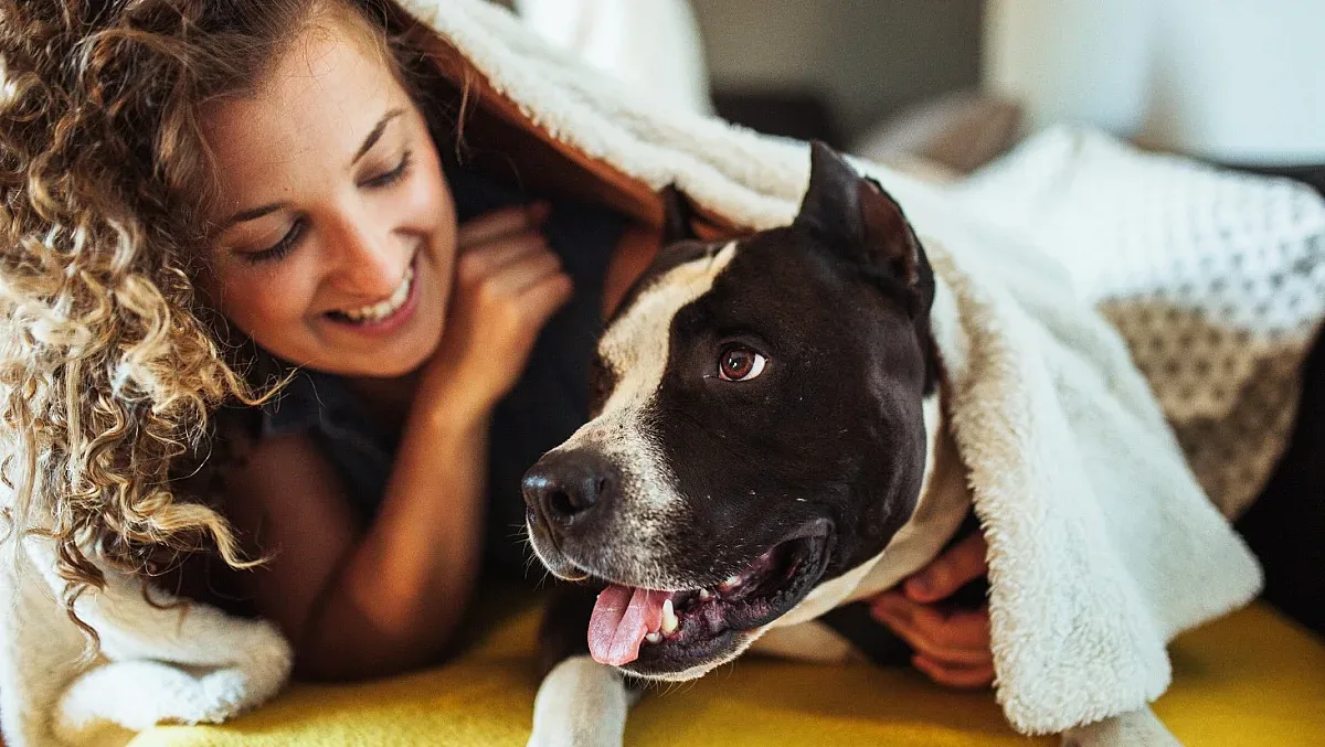 Фойерверките плашат, а не радват! Как да защитим домашните любимци