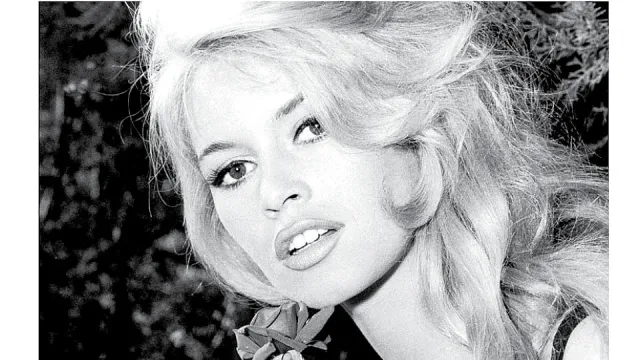 Бриджит емблемата на френската свобода