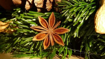 5 билки и подправки помагат да не ви е тежко по празниците