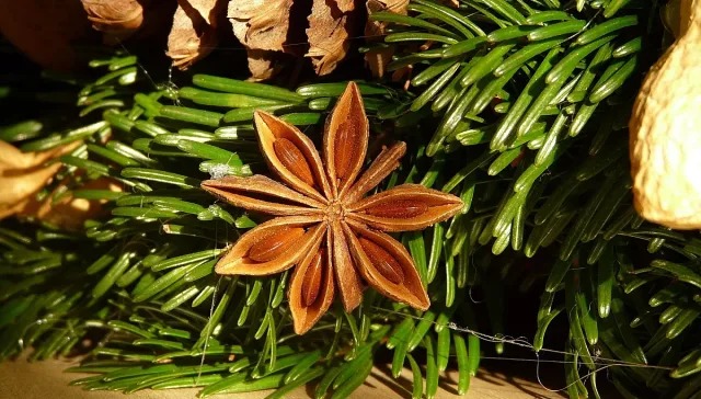 5 билки и подправки помагат да не ви е тежко по празниците