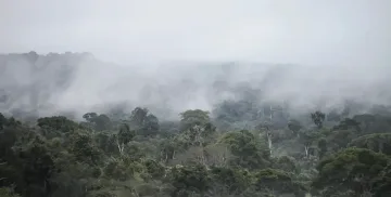 Учените с ужасна прогноза за белите дробове на планетата  