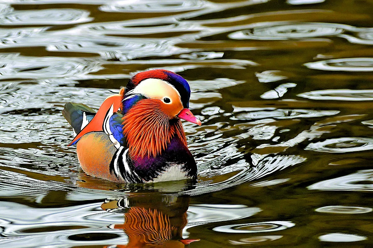 6 тенденции за супер ваканция!