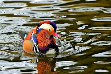 6 тенденции за супер ваканция!
