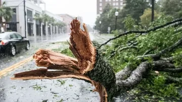Халите пометоха наш град, чупят дървета ВИДЕО