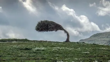 Вятърът набира скорост. Идват страшни часове