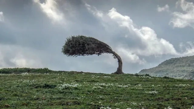 Вятърът набира скорост. Идват страшни часове