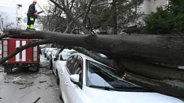 Кошмар в София! Бурята направи голяма беля