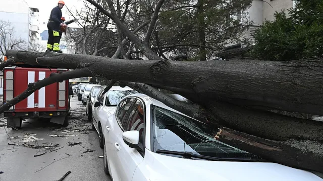 Кошмар в София! Бурята направи голяма беля