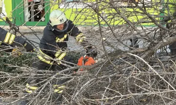 Ужас в София! Рухват дървета, трамваи спират
