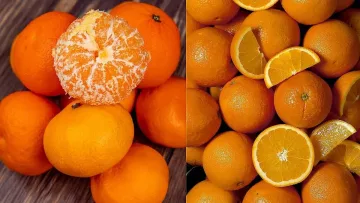 Мандарини срещу портокали - кой плод е по-полезен?