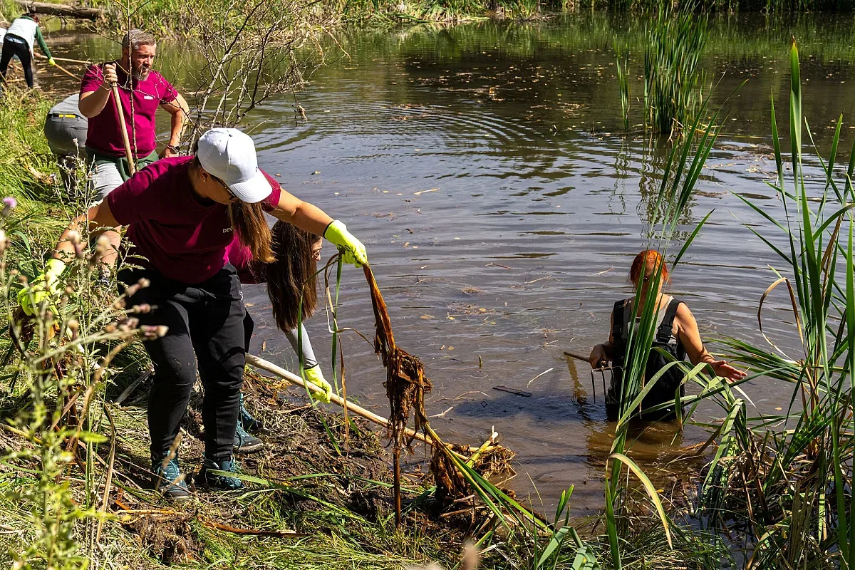 Успех за DEVIN и БФБ: Рядка орхидея е знак за възстановяването на торфищата в Чаирските езера
