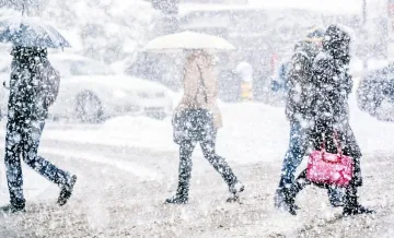 Нещо страшно става в Европа, пълзи насам