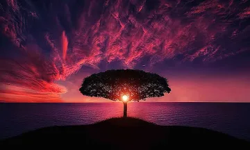 Азарей за 2026: Година на лидерите и новите проекти