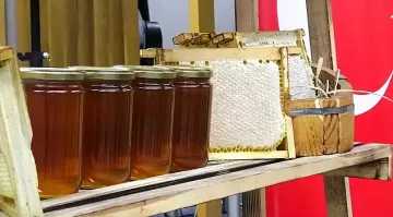 Куриоз! Най-скъпият мед е в града на солта