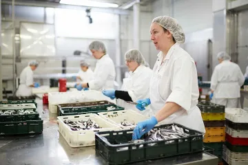 Провал на пазара на труда у нас въпреки рекордния внос на работници