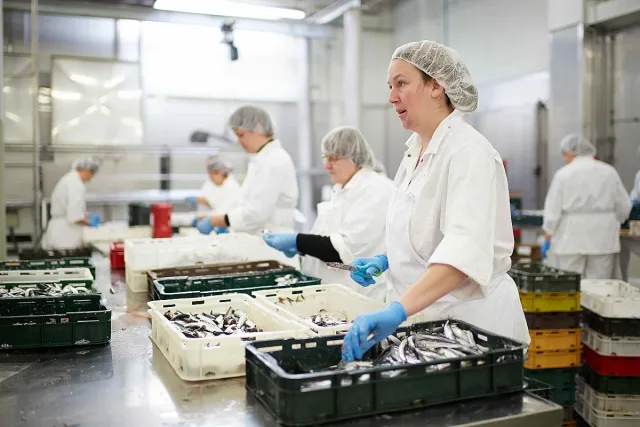 Провал на пазара на труда у нас въпреки рекордния внос на работници