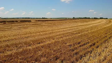 Големи продажби на общинска земя и имоти. Ето къде