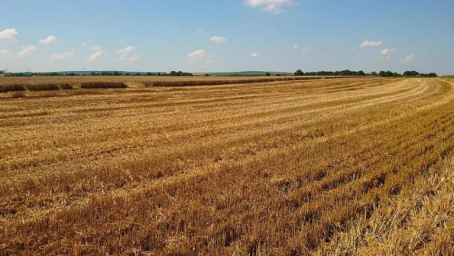 Големи продажби на общинска земя и имоти. Ето къде