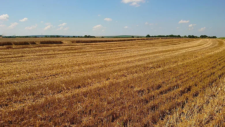 Големи продажби на общинска земя и имоти. Ето къде