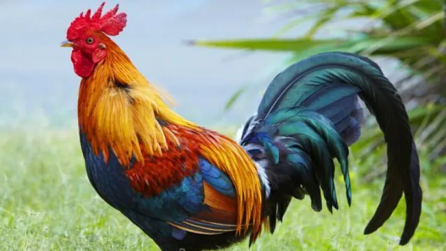 Специален ден! Черпят 5 чудни имена, спазват се 6 строги забрани