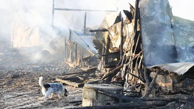 Зловеща версия за пожара във "Фанагория". Мрежата кипи