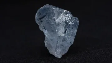 Находката на десетилетието! Един сектор ликува