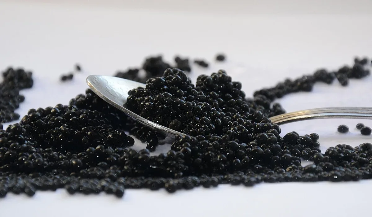 България оглави уникална класация за "черното злато" в Европа