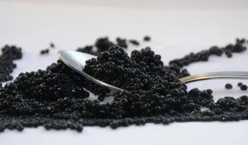 България оглави уникална класация за "черното злато" в Европа