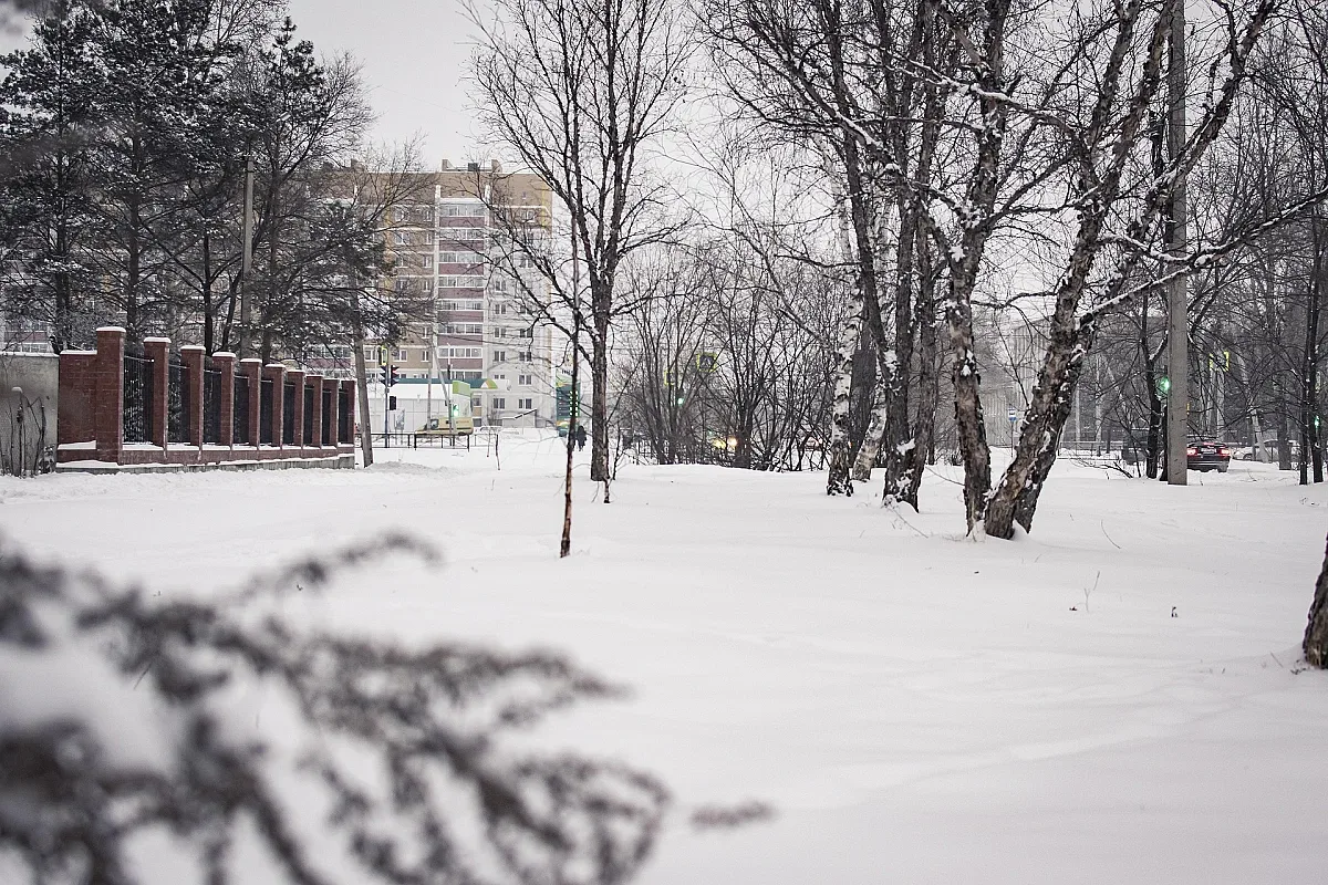 Мъгла обгръща равнините, слънцето бяга в планините