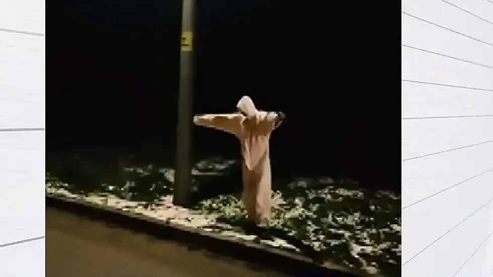 Заловиха монтанския призрак, който напада шофьори