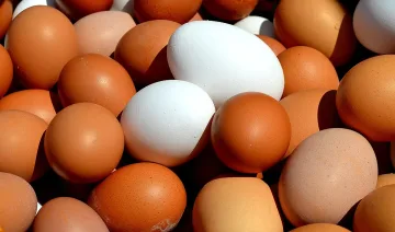Бели или кафяви? Кои яйца са по-полезни за здравето