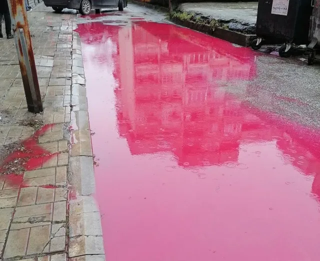Червена локва подлуди наш град. Хората в паника