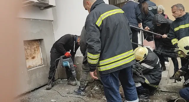 Строители зазидаха живо коте. Последва нещо невиждано ВИДЕО