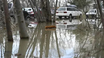 Кошмар в София! Десетки коли се оказаха в езеро (ВИДЕО)