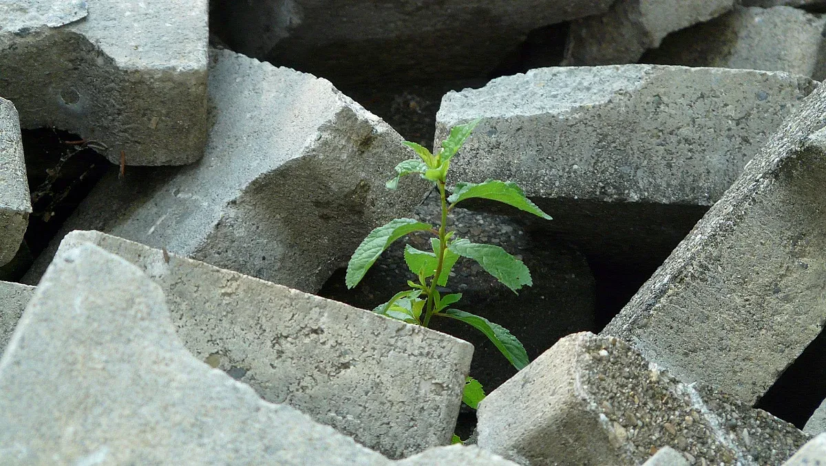 3 зодии получават втори шанс и тръгват в правилната посока