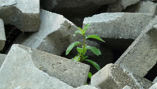 3 зодии получават втори шанс и тръгват в правилната посока