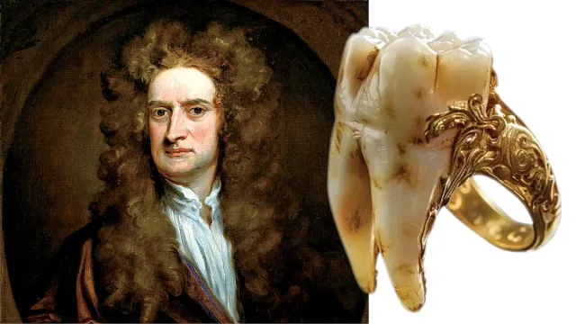 Зъбът на Нютон, който стана най-ценното бижу