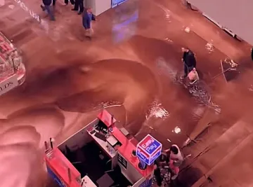 Изумителна гледка в столичен мол. Хората се хванаха за главата 