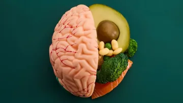 Неочаквано откритие посочи най-добрата храна за мозъка