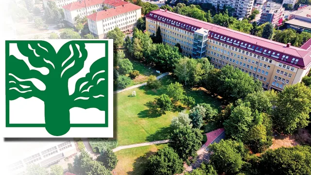 Избери бъдещето си с Лесотехническия университет